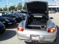 Arctic Silver Metallic - Cayman  Photo No. 21