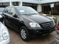 Black - ML 350 4Matic Photo No. 2