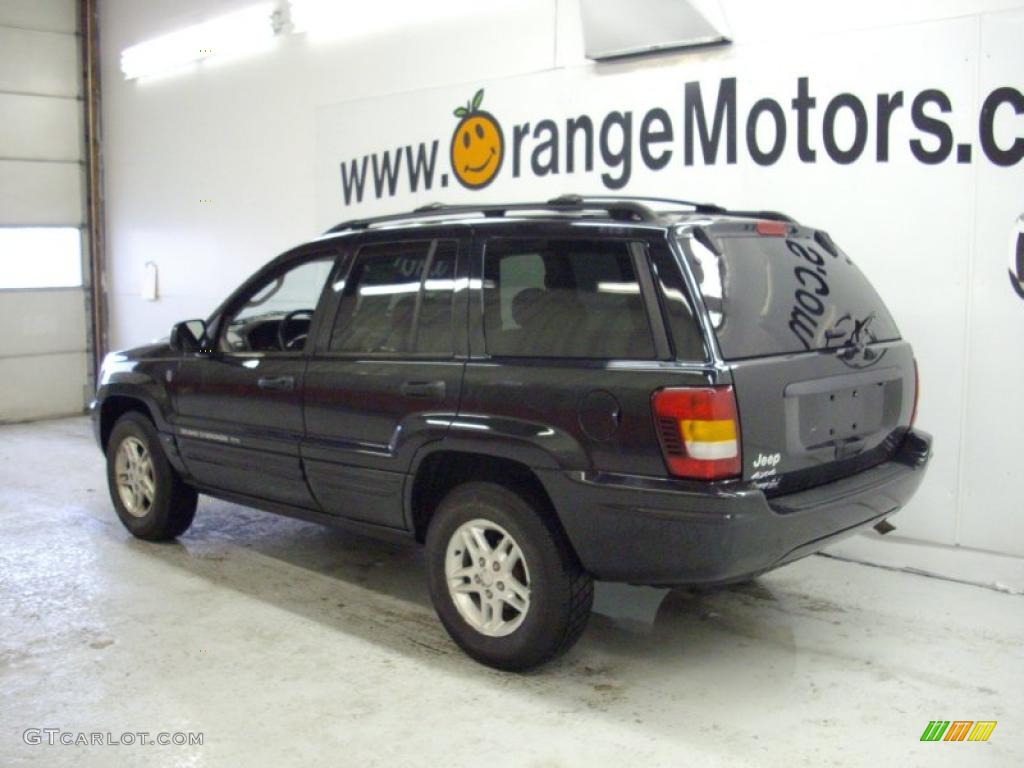 2004 Grand Cherokee Laredo 4x4 - Graphite Metallic / Dark Slate Gray photo #2