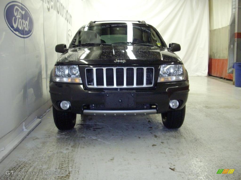2004 Grand Cherokee Laredo 4x4 - Graphite Metallic / Dark Slate Gray photo #4