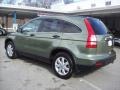 2007 Green Tea Metallic Honda CR-V EX 4WD  photo #2