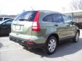 2007 Green Tea Metallic Honda CR-V EX 4WD  photo #23