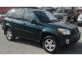 Rainforest Green Pearl - RAV4 4WD Photo No. 1