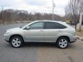 Bamboo Green Pearl - RX 350 AWD Photo No. 2