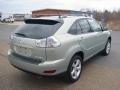 Bamboo Green Pearl - RX 350 AWD Photo No. 5