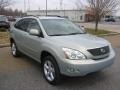 Bamboo Green Pearl - RX 350 AWD Photo No. 7