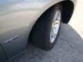 Silver Steel Metallic - Charger R/T Photo No. 28