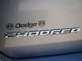Silver Steel Metallic - Charger R/T Photo No. 34