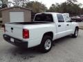 2008 Stone White Dodge Dakota SXT Crew Cab  photo #8