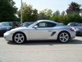 Arctic Silver Metallic - Cayman  Photo No. 2
