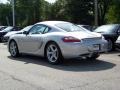 Arctic Silver Metallic - Cayman  Photo No. 3