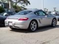 Arctic Silver Metallic - Cayman  Photo No. 6