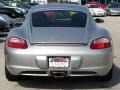 Arctic Silver Metallic - Cayman  Photo No. 10