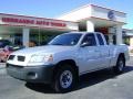 Alloy Silver - Raider LS Extended Cab Photo No. 1