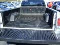 Alloy Silver - Raider LS Extended Cab Photo No. 14