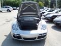 Arctic Silver Metallic - Cayman  Photo No. 21