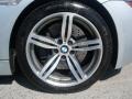 Silverstone Silver Metallic - M6 Convertible Photo No. 18
