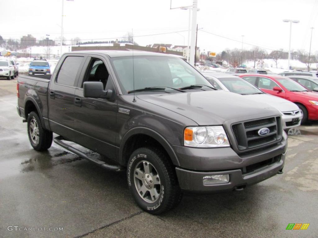 2005 F150 FX4 SuperCrew 4x4 - Dark Shadow Grey Metallic / Medium Flint Grey photo #8