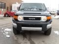 Black Diamond - FJ Cruiser 4WD Photo No. 8
