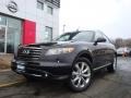 Black Obsidian - FX 45 AWD Photo No. 1