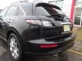 Black Obsidian - FX 45 AWD Photo No. 18