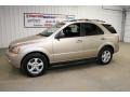 2007 Sand Beige Kia Sorento LX  photo #8