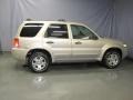 2007 Dune Pearl Metallic Ford Escape XLT V6 4WD  photo #4