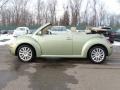 Gecko Green - New Beetle SE Convertible Photo No. 2