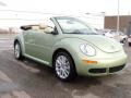 Gecko Green - New Beetle SE Convertible Photo No. 8