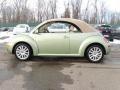 Gecko Green - New Beetle SE Convertible Photo No. 11