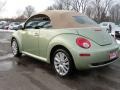 Gecko Green - New Beetle SE Convertible Photo No. 12