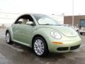 Gecko Green - New Beetle SE Convertible Photo No. 16