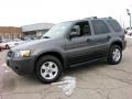 Dark Shadow Grey Metallic - Escape XLT V6 4WD Photo No. 2