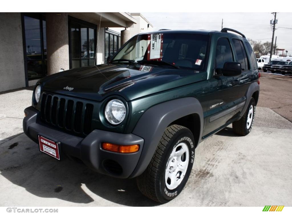 2002 Liberty Sport 4x4 - Shale Green Metallic / Taupe photo #2