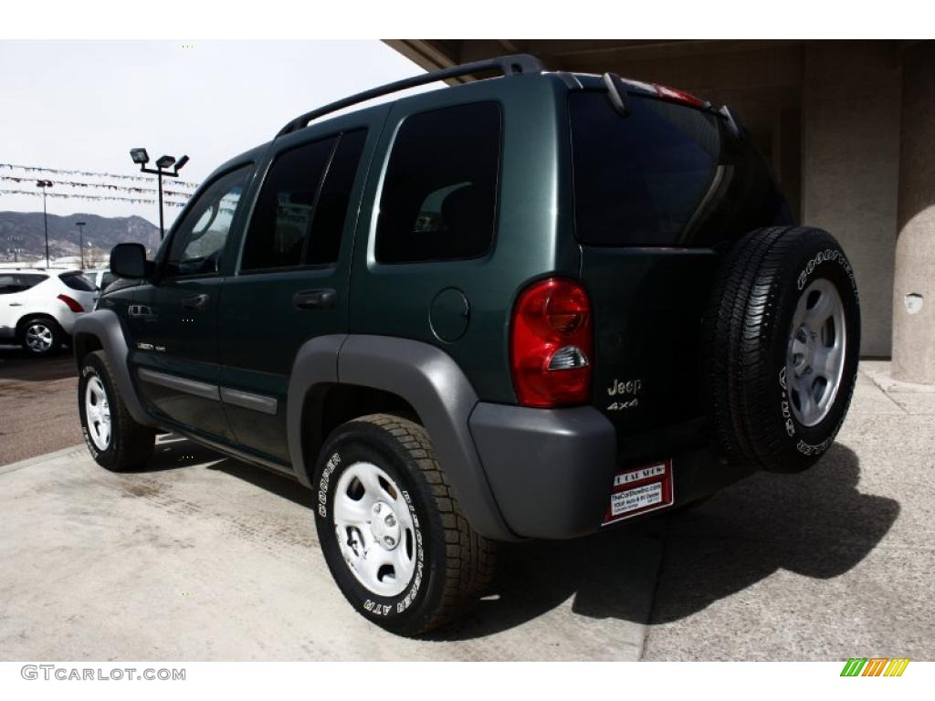 2002 Liberty Sport 4x4 - Shale Green Metallic / Taupe photo #5