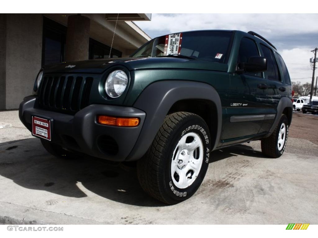 2002 Liberty Sport 4x4 - Shale Green Metallic / Taupe photo #15