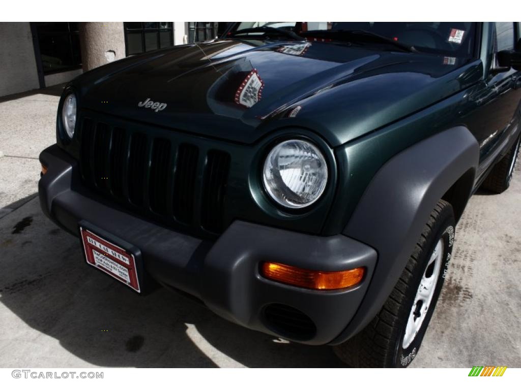 2002 Liberty Sport 4x4 - Shale Green Metallic / Taupe photo #16