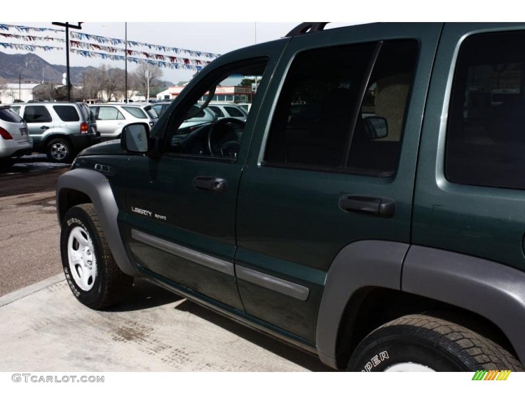 2002 Liberty Sport 4x4 - Shale Green Metallic / Taupe photo #20