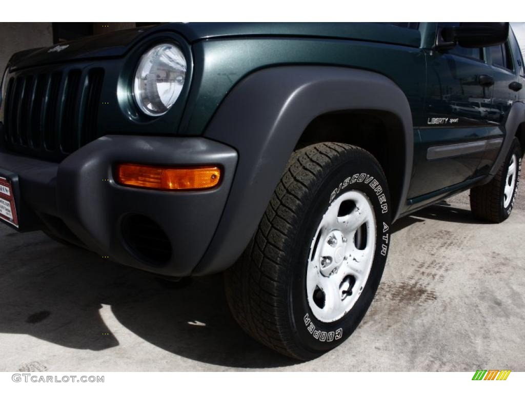 2002 Liberty Sport 4x4 - Shale Green Metallic / Taupe photo #21