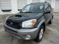 2005 Black Toyota RAV4 4WD  photo #3