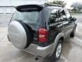 2005 Black Toyota RAV4 4WD  photo #9