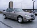 Pewter Metallic - E 320 Sedan Photo No. 3