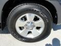 Galactic Gray Mica - 4Runner SR5 Photo No. 16