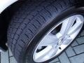 Classic Silver Metallic - ES 330 Photo No. 29