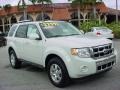 2009 White Suede Ford Escape Limited V6  photo #1