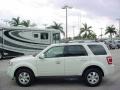 2009 White Suede Ford Escape Limited V6  photo #7