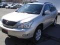 Millennium Silver Metallic - RX 350 AWD Photo No. 3