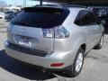 Millennium Silver Metallic - RX 350 AWD Photo No. 6