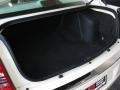 Stone White - 300 C HEMI Photo No. 9