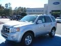 2010 Ingot Silver Metallic Ford Escape Limited V6  photo #1